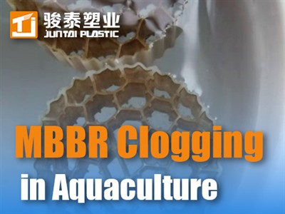 MBBR Blocála a Chosc sa Dobharshaothrú: Tactics Rialaithe Bithscannáin Ó Spei...